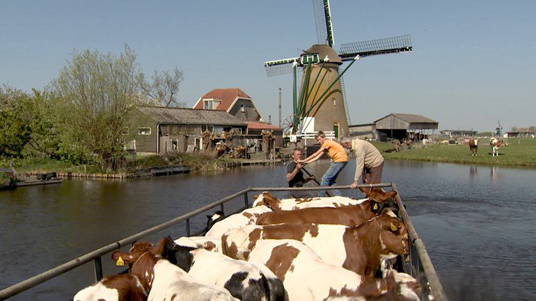 Een oud-Hollands tafereel