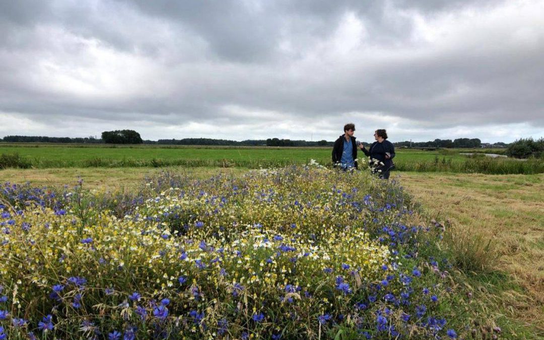 Vroege Vogels bij Boerderij De Eenzaamheid